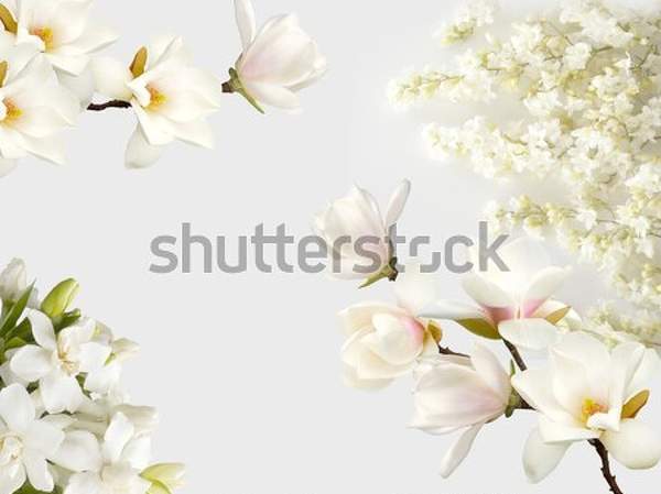  артикул 10039301