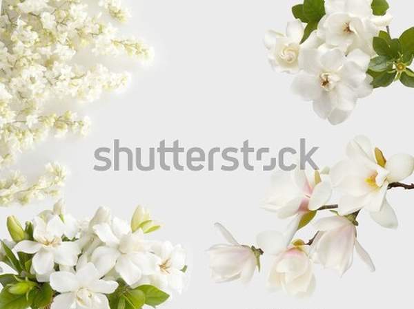  артикул 10039297