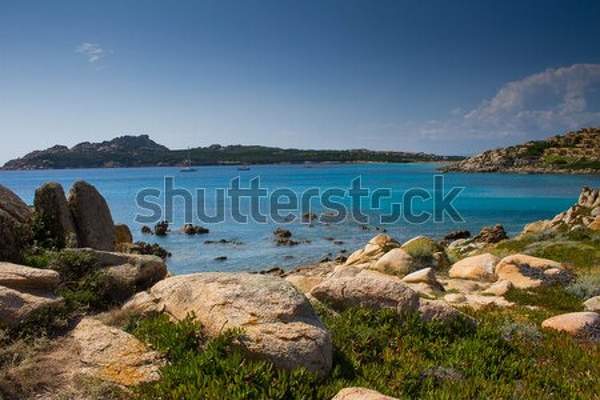  артикул 10039491