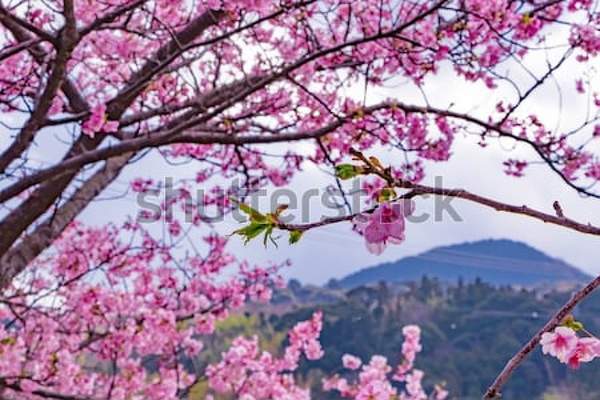  артикул 10039477