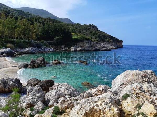  артикул 10039502