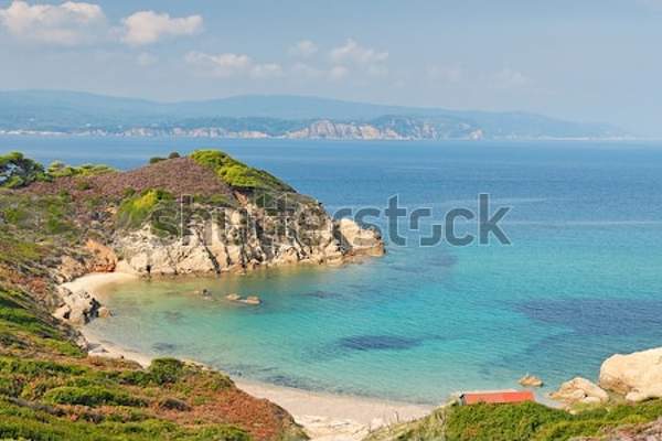  артикул 10039490