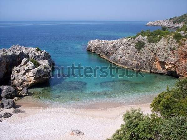  артикул 10039518