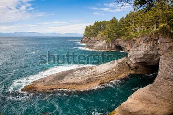  артикул 10039586
