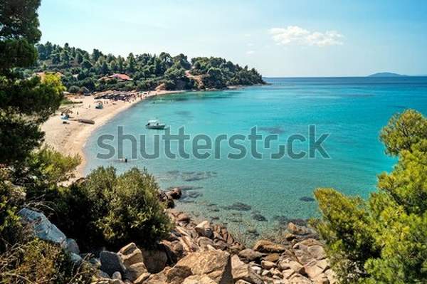  артикул 10039574