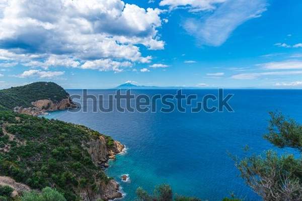  артикул 10039578