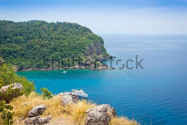  артикул 10039579