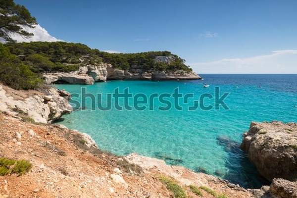  артикул 10039556