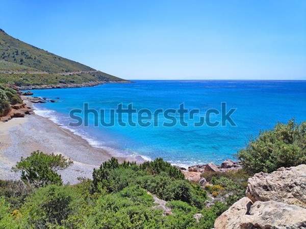 артикул 10039526