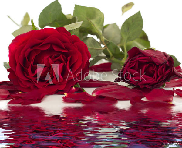  артикул 10039624