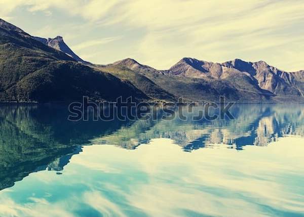  артикул 10039698