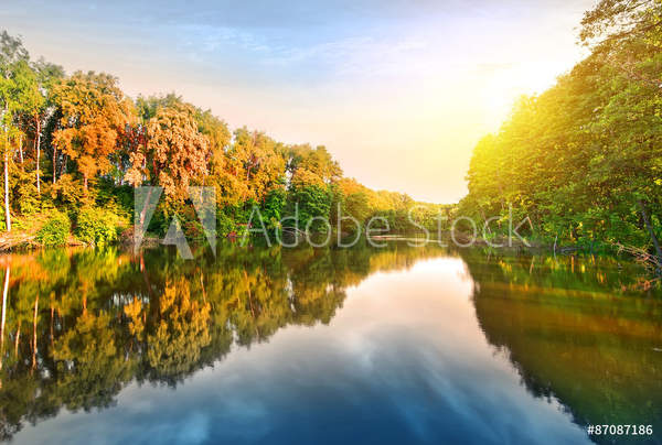  артикул 10039704