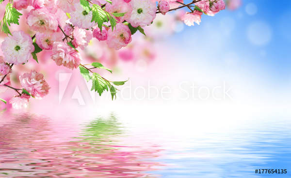  артикул 10039729