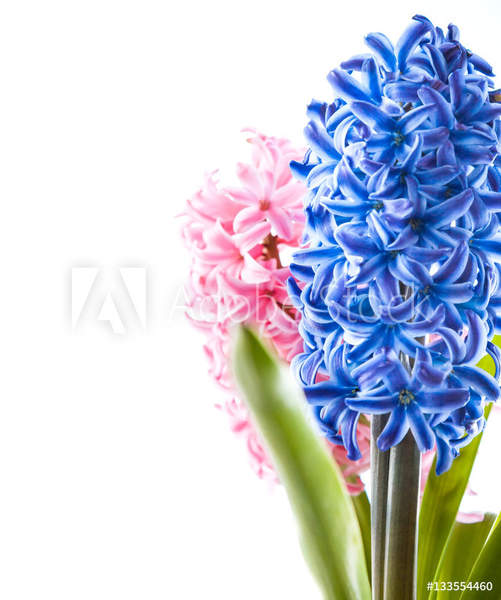  артикул 10039929
