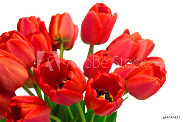  артикул 10040130