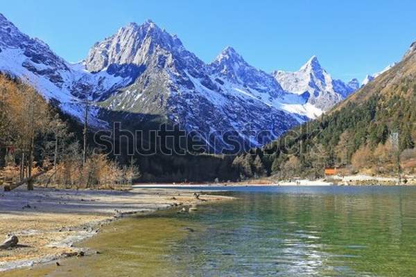  артикул 10040157