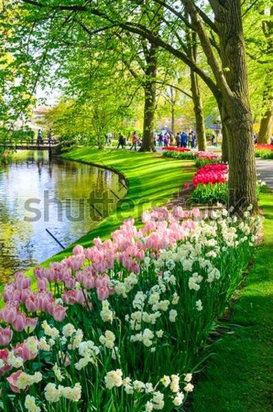  артикул 10040484