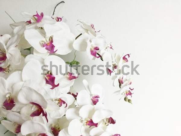  артикул 10040936