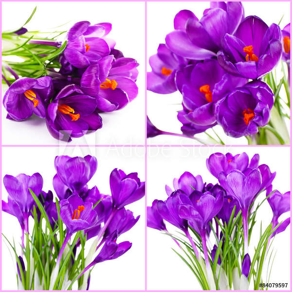  артикул 10041187