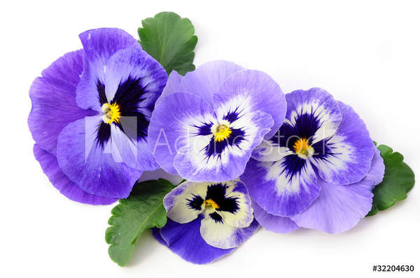  артикул 10041252