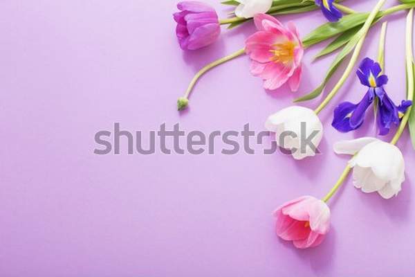  артикул 10041233