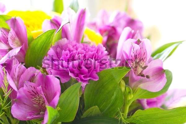  артикул 10041338