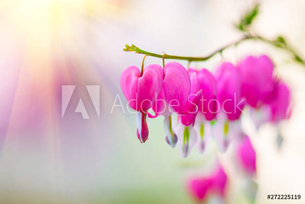  артикул 10041290