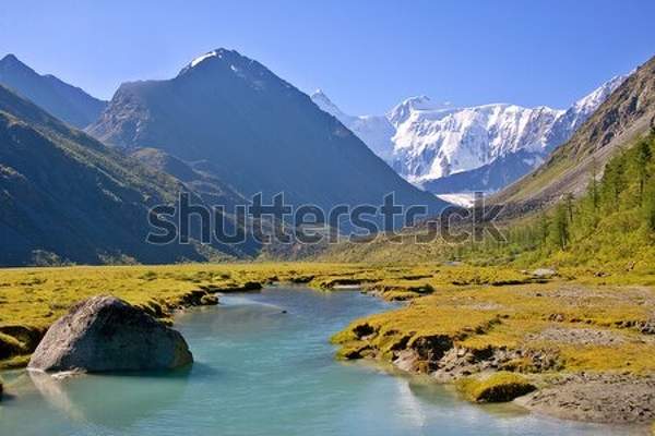  артикул 10041738