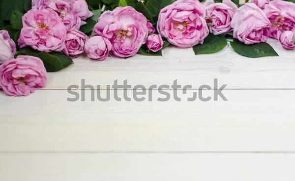  артикул 10041759