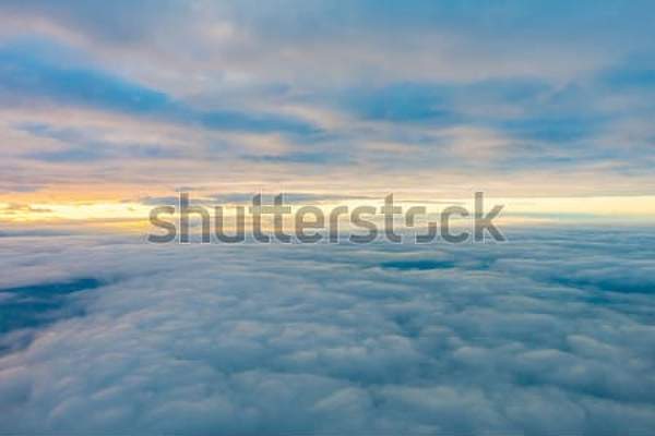  артикул 10042117