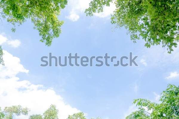  артикул 10042310