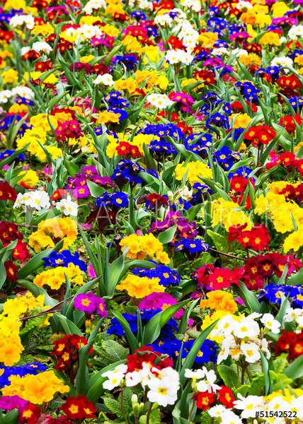  артикул 10042412