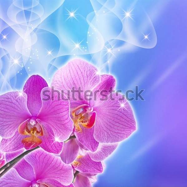  артикул 10043024