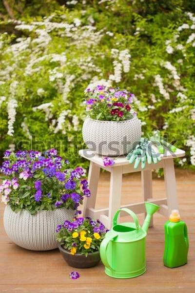  артикул 10042979
