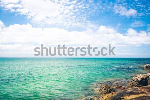  артикул 10043259