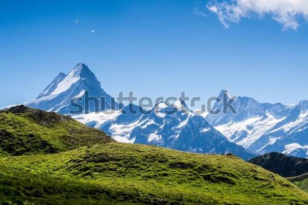  артикул 10043230