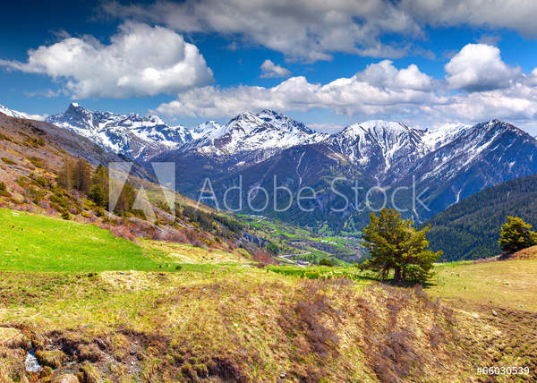  артикул 10043284
