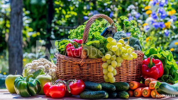  артикул 10043420