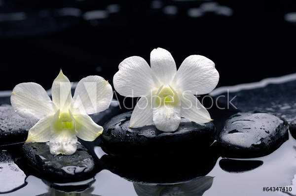  артикул 10043480