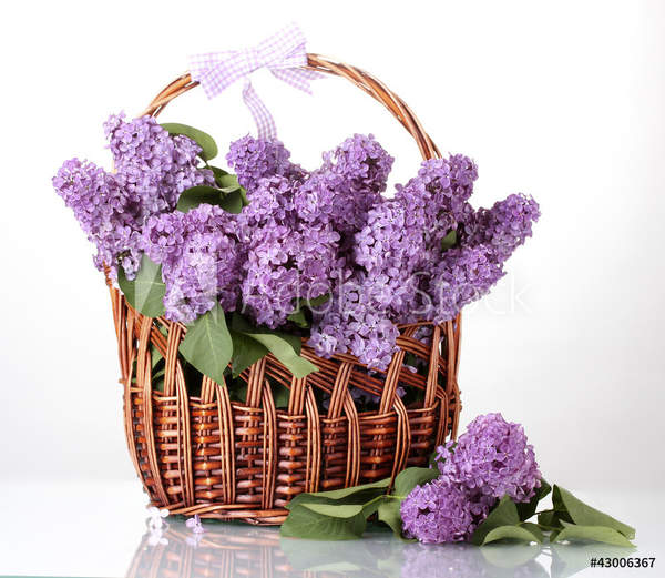  артикул 10043567