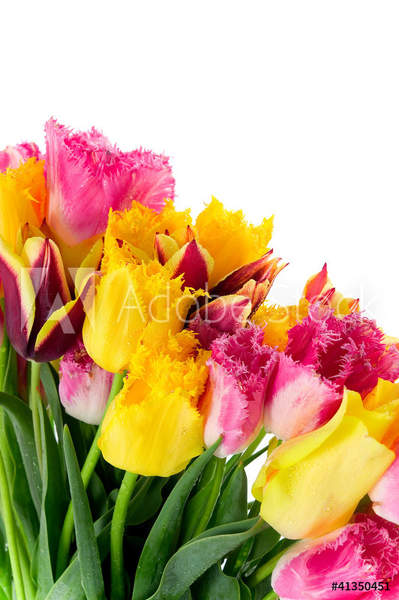  артикул 10043611