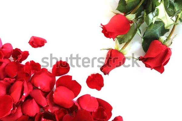  артикул 10043638