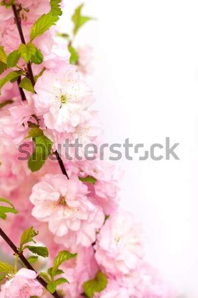  артикул 10043677