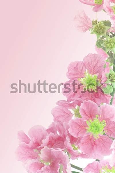  артикул 10043678