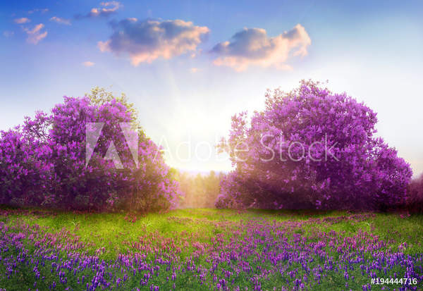  артикул 10043690