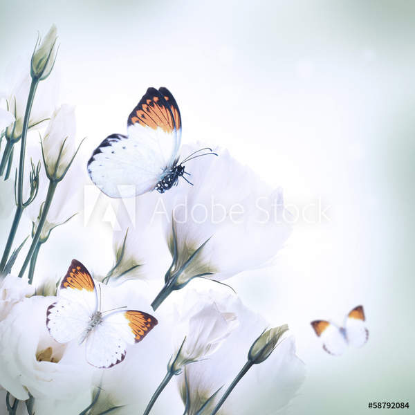  артикул 10043755
