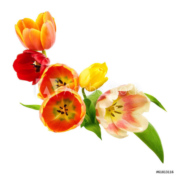  артикул 10043772