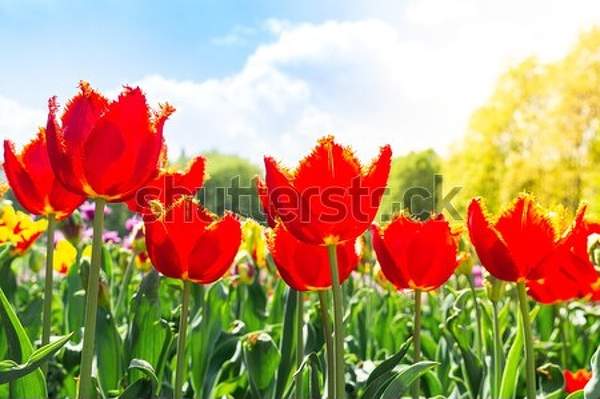  артикул 10044089