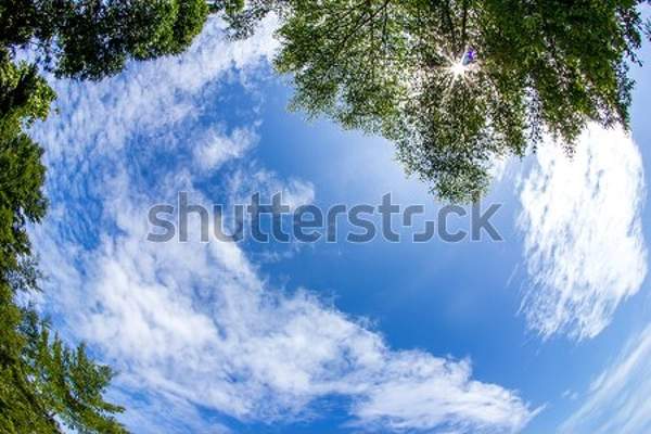  артикул 10044128