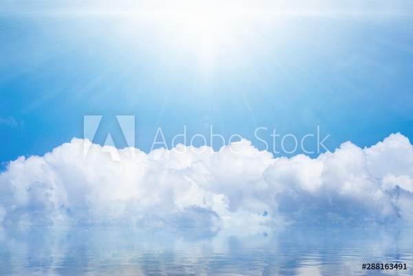  артикул 10044133